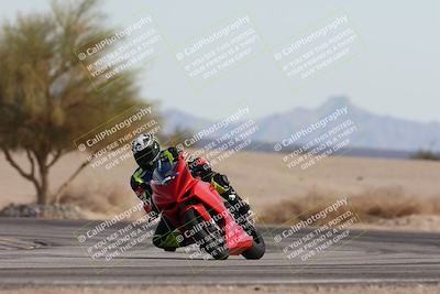 media/Nov-30-2025-TrackXperience (Sun) [[c0061d280f]]/2-Level 2/Session 6 Turn 4 Tree of Life/